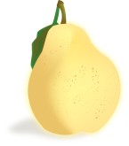 Pear Clipart