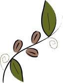 Coffee Vine Clipart