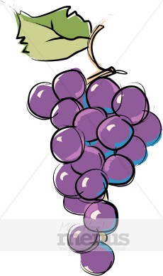 Concord Grapes Clipart