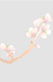 Gray Cherry Blossom Cover