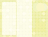Green Dot Trifold Back Side