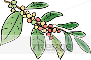 Coffee Beans Growing Clipart Coffee Beans Growing Clipart