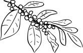 Coffee Plant Clip Art