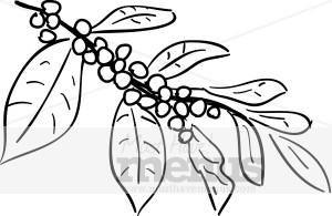 Coffee Plant Clip Art Coffee Plant Clip Art