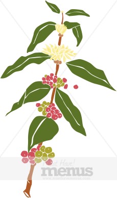Coffee Plant Clipart Coffee Plant Clipart