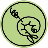 Shrimp Icon