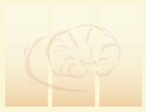 Croissant 3 Column Background