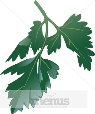 Parsley Clipart