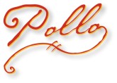 Handwritten Pollo Wordart