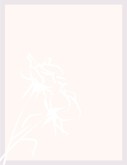White Rose Embossed on Pink Background