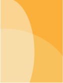 Orange Slice Background