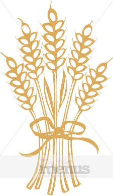 Clip Art Wheat Clip Art wheat clipart thanksgiving menu images clipart