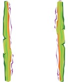 Fiesta Southwest Cactus columns