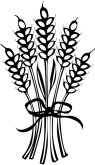 Wheat Sheath Clipart