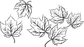 Leaves Clipart