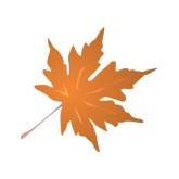 Autumn Leaf Clipart