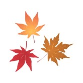 Maple Leaves Clipart