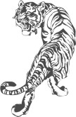 Tiger Clipart
