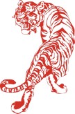 Tiger Clip Art