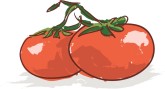 Tomatoes Clipart