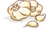 Garlic Clipart