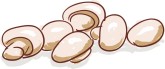 Mushroom Clipart