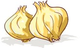 Onions Clip Art