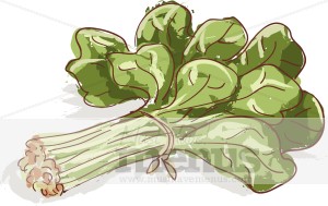 Spinach Clipart