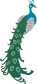 Peacock Clip Art
