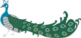 Peacock Clipart