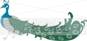 Peacock Clipart