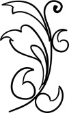Swoop Flourish