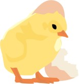 Chick Hatching Clipart