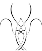 Flying Abstract Lotus