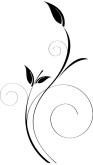 Spiral Flower Leaves