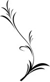 Growing Abstract Leaves