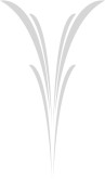 Fountain Leaf Upright Section