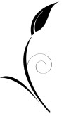 Sleek Black Spiral Bud