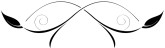 Sleek Black Opening Border