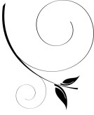 Sleek Black Spiral Accent