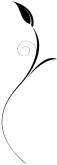 Sleek Black Spiral Leaf Stem