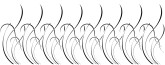 Row of Curved Petals