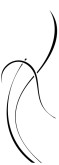 Vertical Elegant Accent