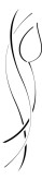 Curvy Tulip Stems Accent