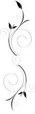 Sleek Black Leaves Spirals Divider