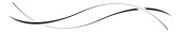 Curvy Tulip Stems Divider One