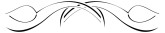 Curvy Tulip Stems Divider Four