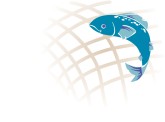 Fish Net Clipart