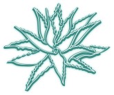 Agave Clipart