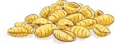 Pasta Shells Clipart